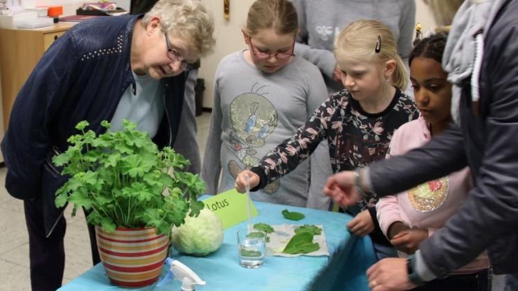 Den Lotuseffekt, bei dem Wasser und Schmutz durch fein genoppte Oberflächen abgewiesen wird, führten die Schüler der Gruppe "Bionik" vor. Foto: Peter Selter