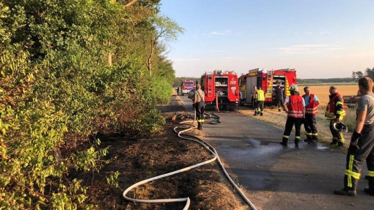Der Brand im Straßenseitenraum wurde von den Einsatzkräften schnell abgelöscht. Foto: SG Nordhümmling/Sögel/Feuerwehr