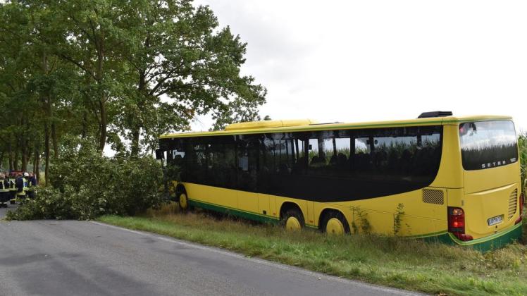 Aus bislang ungeklärter Ursache kam der Schulbus zwischen Plate und Sukow von der Straße ab.