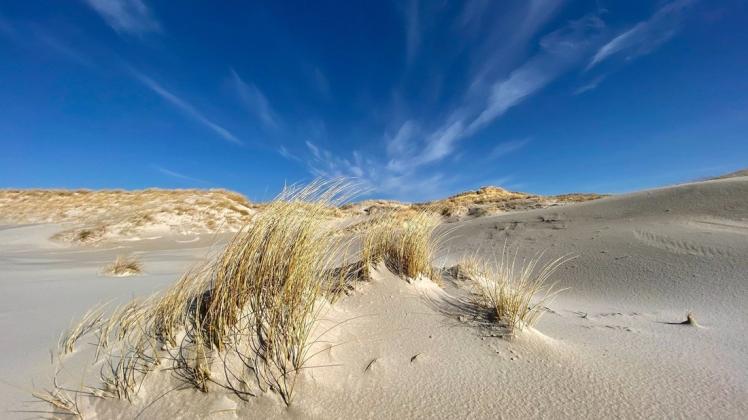 Der Amrumer Strand ist wegen seines feinen Sandes besonders beliebt.