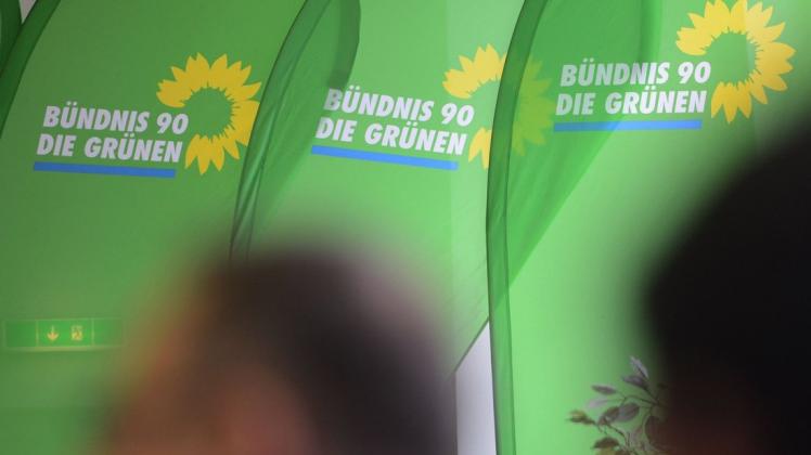 Die Steinburger Grünen haben ihre Landtagskandidaten nominiert.