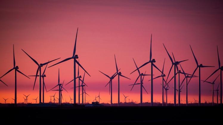 Windenergie: Die Wende zur grünen Energie könnte laut EZB-Direktorin Isabel Schnabel mittelfristig für höhere Preise in der Eurozone sorgen.