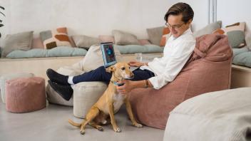 Von zu Hause zu arbeiten, ist für viele Beschäftigte die Regel geworden. So klappt’s mit dem Hund im Homeoffice.
