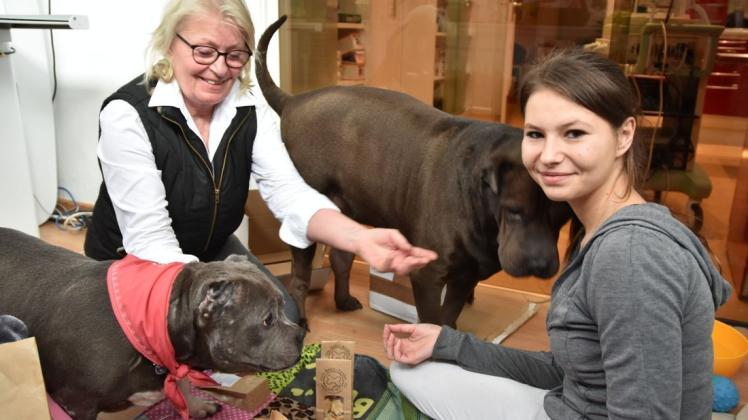 Ein eingeschworenes Team: Tierärztin Dr. Angelika Hoffmann (l.) und Praxismitarbeiterin Janice Lindner mit Sorgenkind Betty (vorne) und ihrem Kameraden Schnauzi, der schon länger bei der Medizinerin sein Zuhause hat. Foto: Thomas Breuer