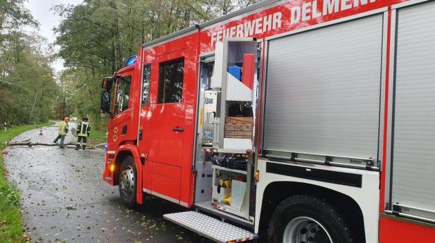 Unter anderem in Delmenhorst musste die Feuerwehr umgestürzte Bäume von der Straße holen. Foto: Nonstopnews