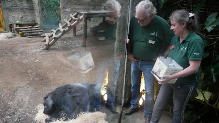 Die Eltern des Gorillas Gorgo sind beim Brand in Krefeld gestorben. Reinhardt Ode und Antje Zerfass vom Zooverein sammeln Spenden für die Unterstützung des Krefelder Zoos.