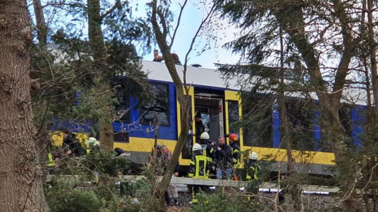 Bei Dötlingen ist am Nachmittag eine Nordwestbahn mit einem umgestürzten Baum kollidiert. Foto: Nonstopnews
