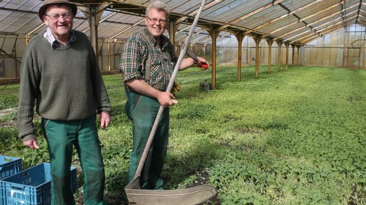 Horst (l.) und Björn True sind experimentierfreudige Gemüsebauern, bei denen sich die Scheerkohlsaison dem Ende zuneigt.