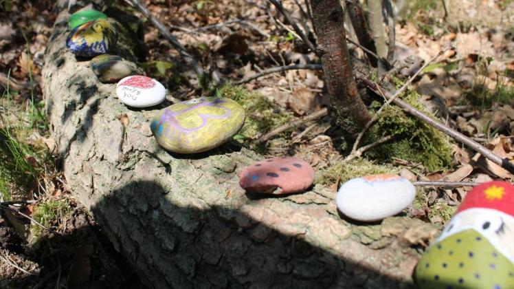 Bunte Steine schlängeln sich mehrere Meter über Baumstämme und sollen Farbe in den tristen Corona-Alltag bringen.