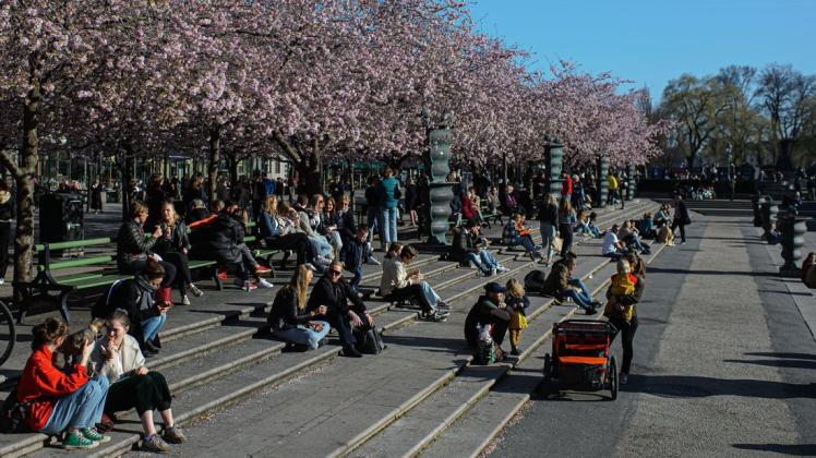 Stockholm: Menschen sitzen in einem Park in der Sonne. Schweden ging bisher mit freizügigeren Maßnahmen gegen die Corona-Pandemie vor.