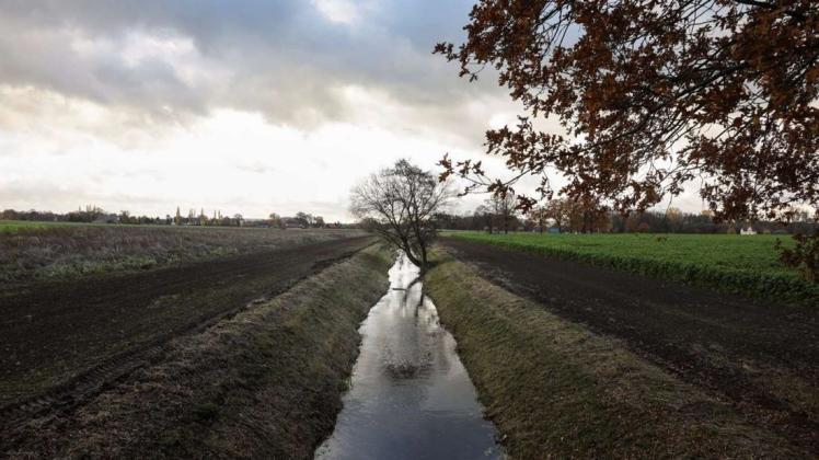 Die Gemeinde Bissendorf hatte einen zehn Meter breiten Gewässerrandstreifen erworben, der nicht mehr landwirtschaftlich genutzt werden darf. Gibt es mindestens fünf Meter breite Schutzstreifen bald an allen Gewässern im Osnabrücker Land?