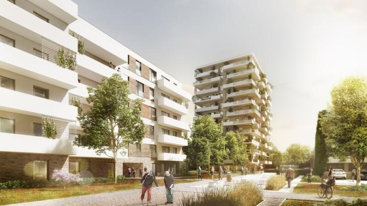 Innerhalb der nächsten fünf Jahre will die WG Schiffahrt-Hafen mit dem Brecht-Park ein neues Quartier für verschiedene Einkommensschichten in Evershagen realisieren.