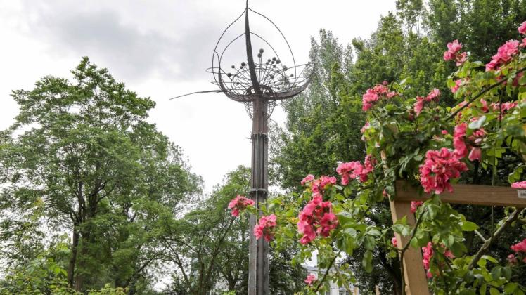 Im Bad Rothenfelder Rosengarten am langen Gradierwerk steht seit Montag eine stählerne Rose: Handwerkskunst als Rankhilfe für Kletterrosen.