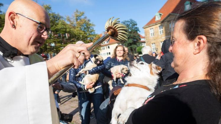 Carsten Lehmann segnet in diesem Jahr wieder Tiere vor dem Osnabrücker Dom. Carsten Lehmann segnet in diesem Jahr wieder Tiere vor dem Osnabrücker Dom.