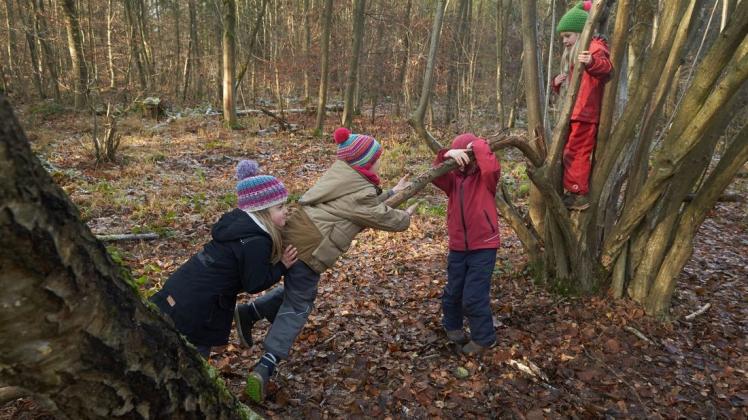 Kinder spielen in einem Waldkindergarten in Koblenz (Archiv). Kinder spielen in einem Waldkindergarten in Koblenz (Archiv).