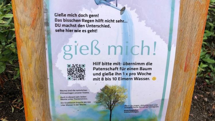 Eine Rostockerin möchte Gieß- und Baumpatenschaften in Rostock gründen. Eine Rostockerin möchte Gieß- und Baumpatenschaften in Rostock gründen.