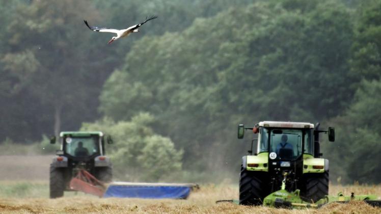 Mit dem Niedersächsischen Weg sollen Landwirte Tieren und Pflanzen wieder mehr Lebensräume geben. (Symbolbild) Mit dem Niedersächsischen Weg sollen Landwirte Tieren und Pflanzen wieder mehr Lebensräume geben. (Symbolbild)