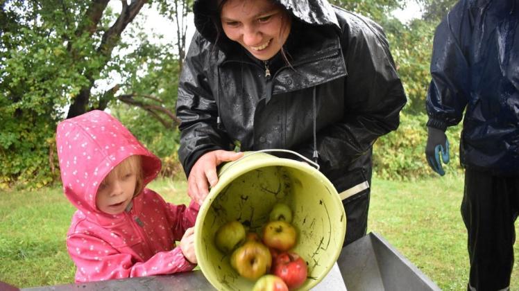 Ab mit denn Äpfeln in den Trichter der mobilen Mosterei: Waldpädagogin Angelika Stoll (r.) vom Stadtforstamt half den Kindern von der Kindertagesstätte "Hummelwiese" nicht nur beim Tragen der Apfeleimer.
