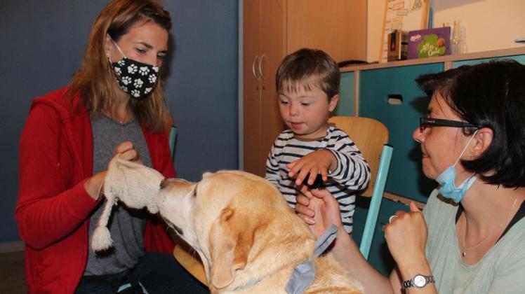 Tiertherapeutin Selina  Haase lässt  sich  von  Labrador-Retriever-Hündin Amilia  einen  Handschuh  ausziehen.  Der  dreijährige  Tim und  seine  Mutter   Tina  Krieg schauen  fasziniert   zu.   Foto:  Karin Koslik
