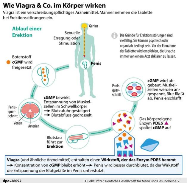 wie befriedigen Warum der Penis die Antenne des Herzens ist und Viagra rezeptpflichtig  bleibt