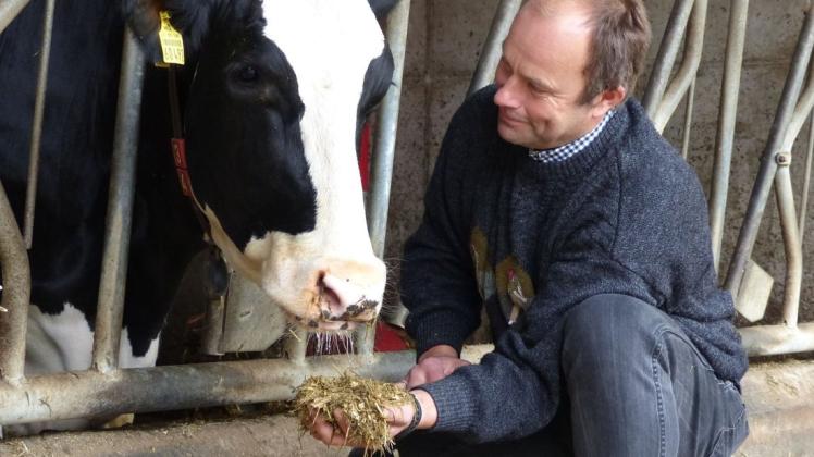 Milchkuh „Leander“ wird vorläufig noch satt, aber das von Bauer Jens Bösemeyer angebaute Futter wird nicht bis zur nächsten Grasernte reichen.