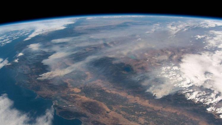 Die Waldbrände in Kalifornien aus der Luft: Massive Feuer verringern den Lebensraum von Tieren.
