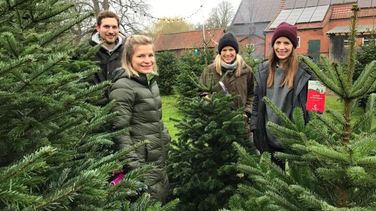 Hand in Hand bieten sie auf dem Hof Sudau in Hasbergen wieder Weihnachtsbäume an (v.l.): Alexander Gehlken, Lena Sudau, Jana Schneebecke und Stina Gehlken. Hand in Hand bieten sie auf dem Hof Sudau in Hasbergen wieder Weihnachtsbäume an (v.l.): Alexander Gehlken, Lena Sudau, Jana Schneebecke und Stina Gehlken.
