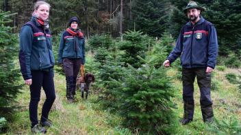 Auf einer freien Fläche im Waldgebiet nahe Schlemmin wachsen Weihnachtsbäume in verschiedenen Größen. Eva-Maria Gutsche, Dörthe Bokelmann und Jörg Fengler (v.l.) vom Forstamt Karbow bereiten den Baumverkauf vor.