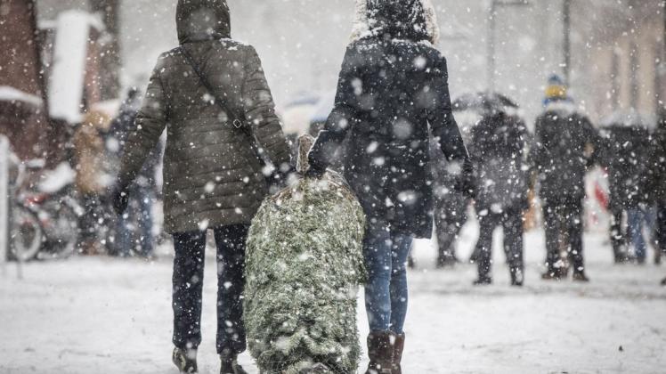 Zwei Frauen tragen bei starkem Schneefall einen frisch erworbenen Weihnachtsbaum nach Hause.