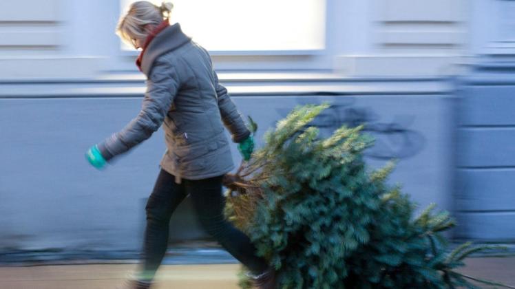 Nicht in allen Meller Stadtteilen werden 2021 die Weihnachtsbäume abgeholt. Doch es gibt eine Alternative.