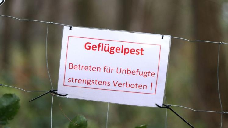 Im Landkreis Oldenburg ist ein zweiter Ausbruch der Geflügelpest registriert worden.