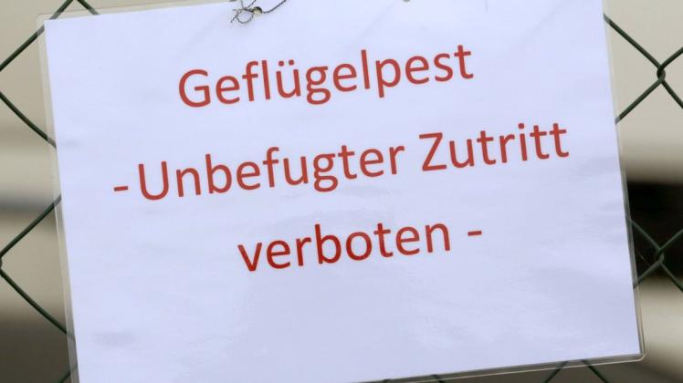 Im Landkreis Oldenburg gibt es inzwischen den vierten Fall von Geflügelpest. (Symbolfoto)