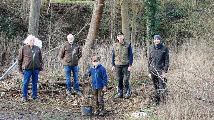 Holzhändler Heiner und Sebastian Große Albers wollen gemeinsam mit Waldbesitzern wie die Familie Grothaus die Wälder im Südkreis aufforsten. Los ging es am Wochenende mit 200 kleinen Eichen, die am Harderberg gepflanzt wurden.
