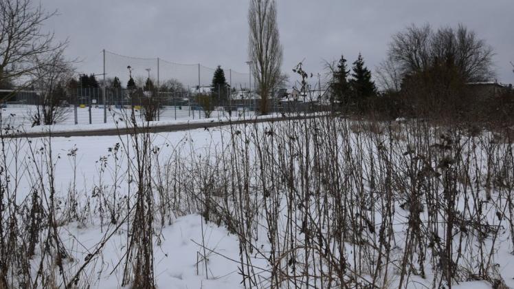 Auf dieser Fläche, gegenüber des Fußballplatzes vom Neumühler SV, soll ein Kleinfeld sowie Parkplätze gebaut werden.