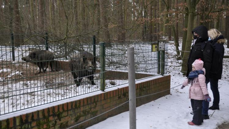 Neele (4) freut sich über den Tierparkbesuch, ist mit Mutter Maria (hinten) und Oma Heike gekommen.