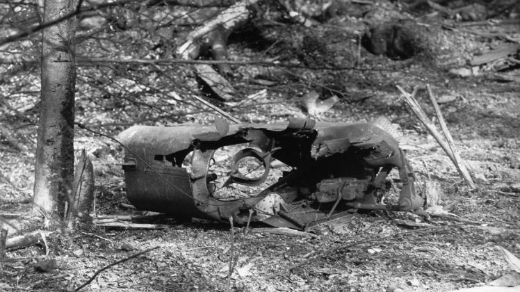 Der britische Harrier stürzte bei Bad Laer in den Wald.