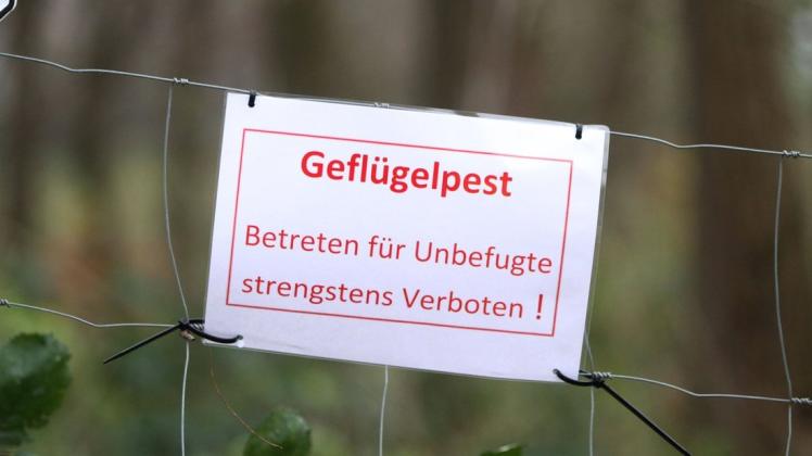 Künftig zählt auch der Eleonorenwald in der Samtgemeinde Werlte zum Beobachtungsgebiet rund um den Ausbruch der Vogelgrippe. (Symbolfoto)