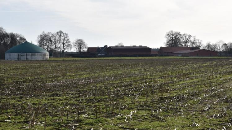 Diese Flächen bei der früheren Hofstelle Böker sollten nach Ansicht des Aktionsbündnisses  "Liebenswertes Venhaus" zu einer "grünen Lunge" werden.