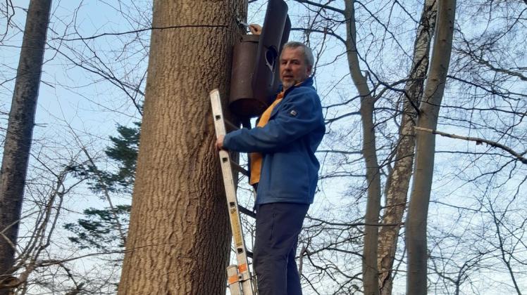 Konrad Krause befestigt die neue Nisthöhle hoch am Baum