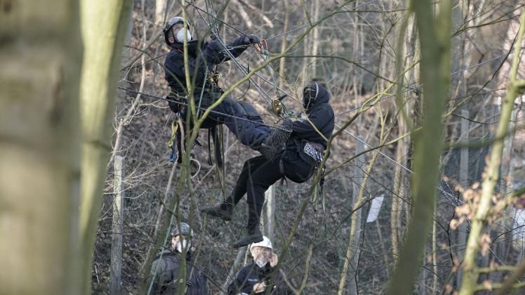 Ein Aktivistin des Flensburger Bahnhofswalds wird aus dem Baum geholt.