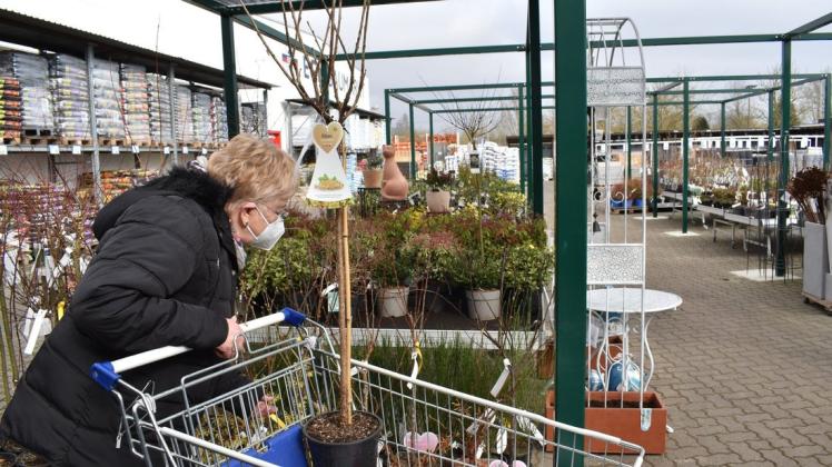 Sind wieder geöffnet: Auch im Blumencenter im EGN-Baumarkt Bützow können Kunden seit Montag wieder selbst auf Entdeckungstour gehen.