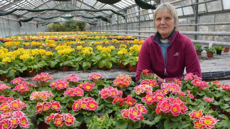 Topfblumen, soweit das Auge reicht. Silvia Hinrichs ist froh, dass der Gartenmarkt von „Storchennest“ wieder normal öffnen darf.