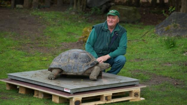 Tierpark Hagenbeck Volker Friedrich denkt nicht ans Aufhören