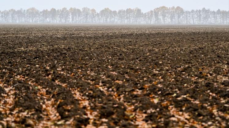 Für Ackerland in Wittendörp müssen Bauern wohl mehr Pachtzins bezahlen. Für Ackerland in Wittendörp müssen Bauern wohl mehr Pachtzins bezahlen.
