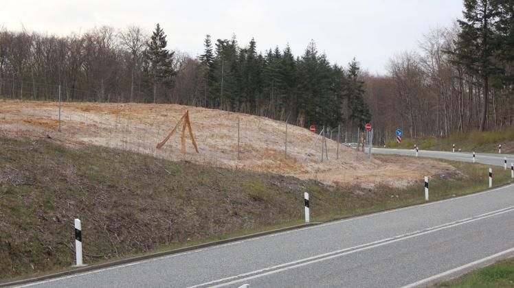 Die Kritik an den Abholzungen entlang der Autobahn 14 wird nicht weniger. Nun stehen die Rodungen und der Zaun auf den Verkehrsinseln Schwerin Ost im Fokus. Doch die Verantwortlichen der Autobahn GmbH des Bundes schweigen weiter.