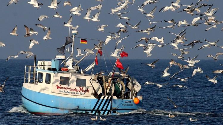 Tierrechtsaktiven fordern die Abschaffung von Fischerei und Fischzucht.