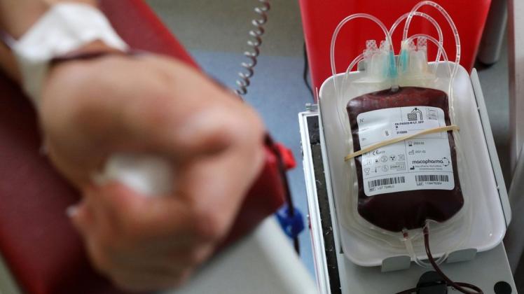 Blutknappheit in Mecklenburg-Vorpommern. Das DRK ruft zum Spenden auf.