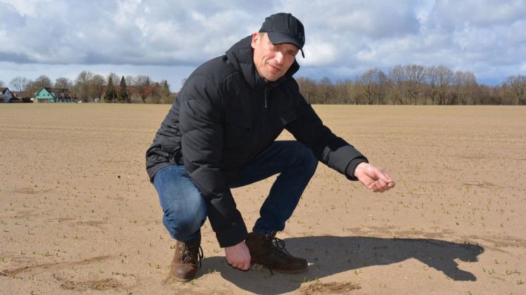 Auf dem sandigen Acker bei Rühn probieren es Landwirt Andy Griepentrog und sein Bruder in diesem Jahr mit Futtererbsen.