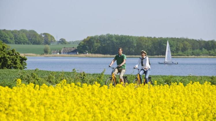 Erhält die LTO Ostseefjord Schlei den Zuschlag als touristische Modellregion, könnten die Urlauber bereits in diesem Jahr wieder eine Radtour an der Schlei durch gelbe Rapsfelder genießen.