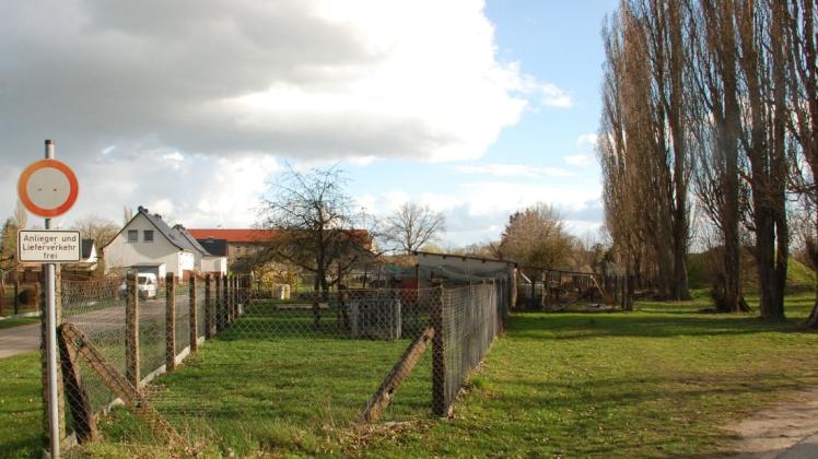 Hier an der Ecke Gartenweg und Parchimer Straße ist ein Teil des Areals, das zu Bauland werden soll.